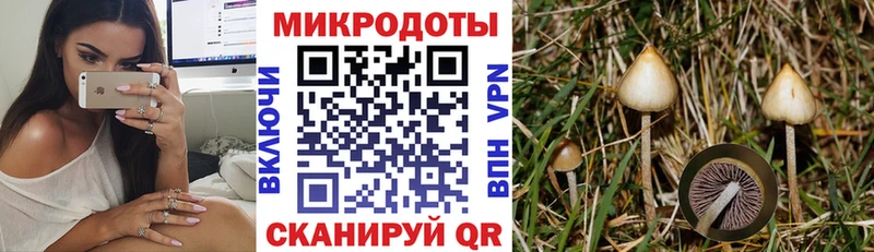 Псилоцибиновые грибы GOLDEN TEACHER  где найти   Талица 
